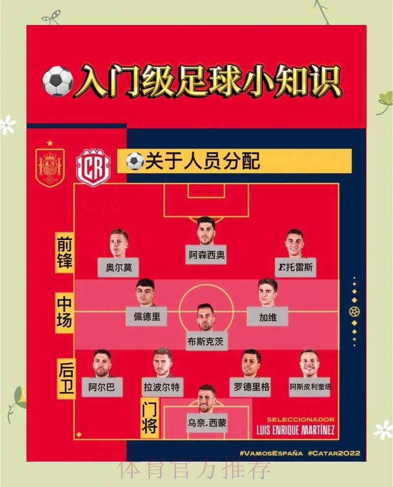 全面解析：世界杯买球入口的选择与技巧